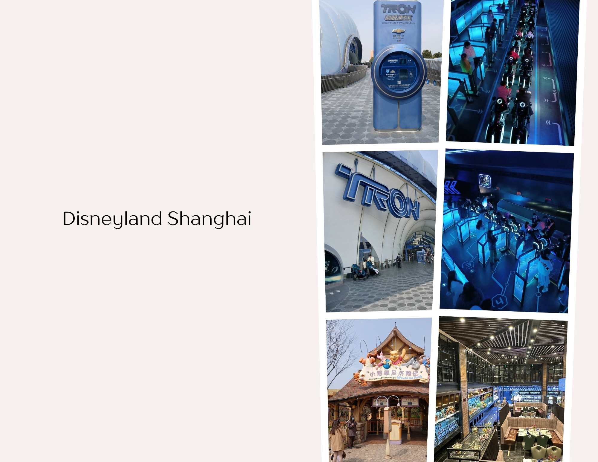disneyland shanghai freebirdtour