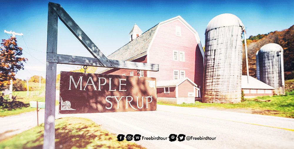 โรงงานผลิต Maple Syrup
