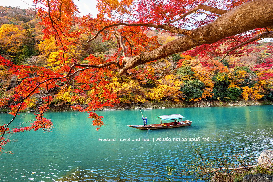 japan-autumn-arashiyama-kyoto-freebirdtravelandtour