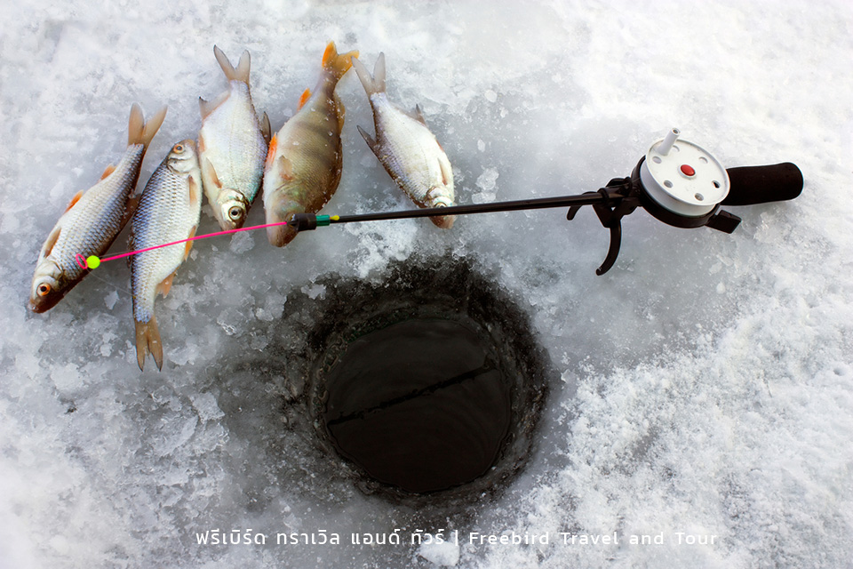 finland-snow-fishing-winter-freebirdtour