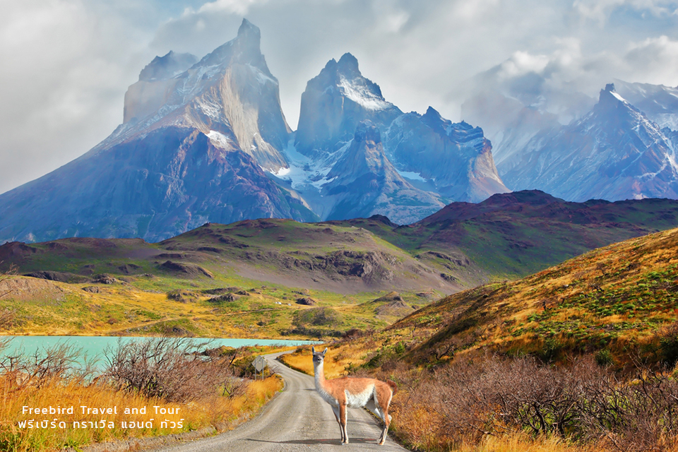 national_park_torres_del_paine_patagonia_chile