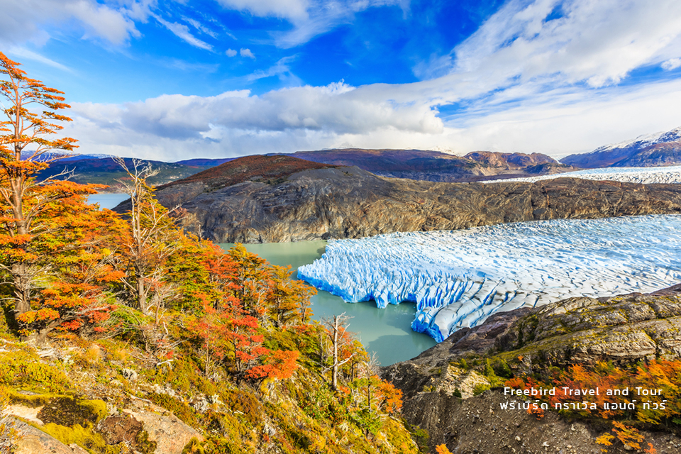 torres_del_paine_national_park_chile_grey_glacier_freebirdtour