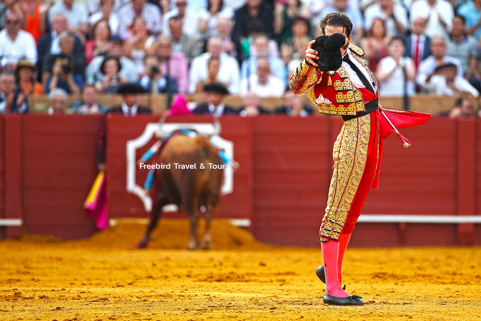 bullfighter_fighting_bull_freebirdtour