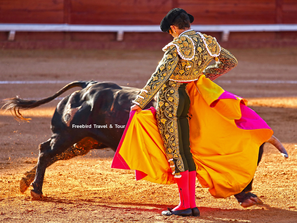 spanish_bullfight_freebirdtour
