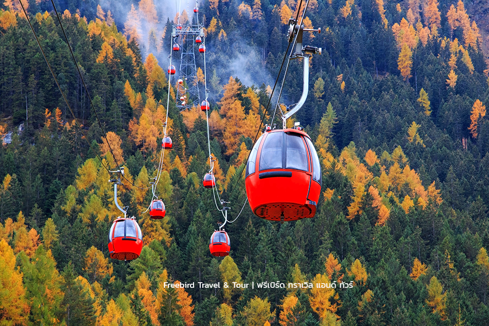 ortisei-red-ski-dolomites-italy-freebirdtour