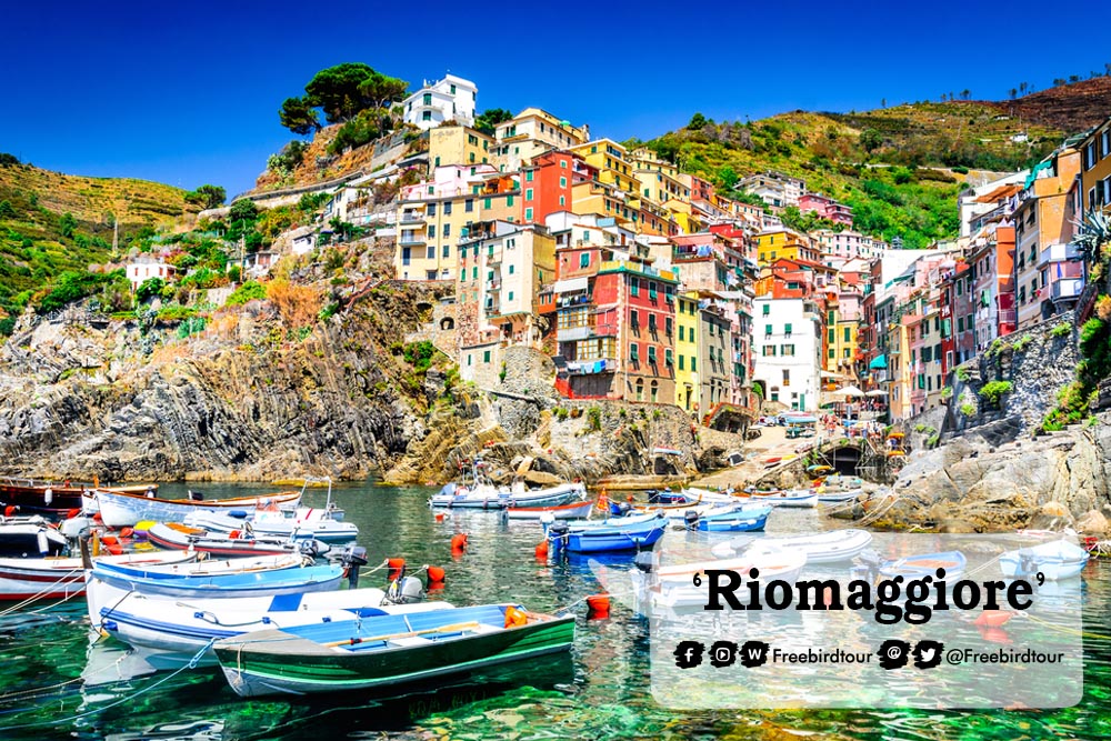 Riomaggiore(ริโอมัจจอร์เร)