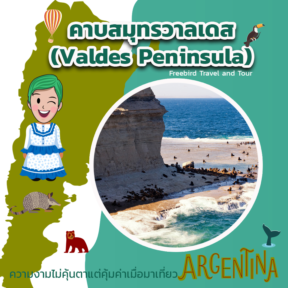 valdes-peninsula-argentina-freebirdtour