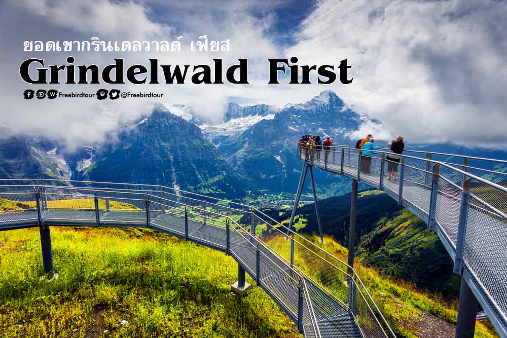 ยอดเขากรินเดลวาลด์ เฟียส (Grindelwald First)