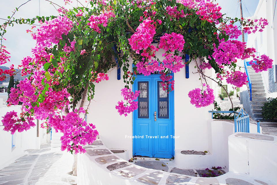 traditional_greek_house_with_flowers_paros_island_greece_freebirdtour