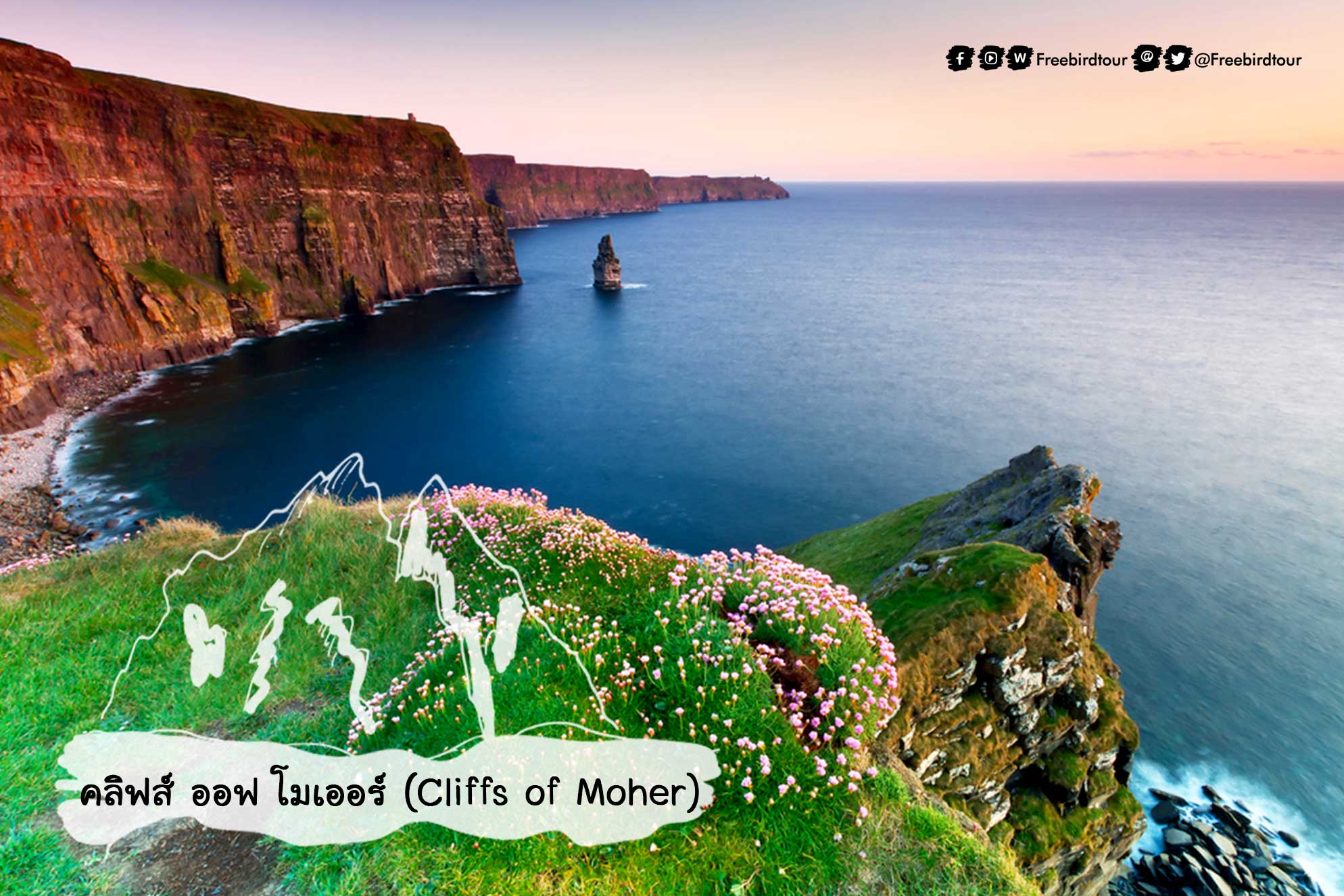 Cliffs of Moher คลิฟส์ออฟโมเออร์ ไอร์แลนด์ ไอร์แลนด์เหนือ ฟรีเบิร์ดทัวร์