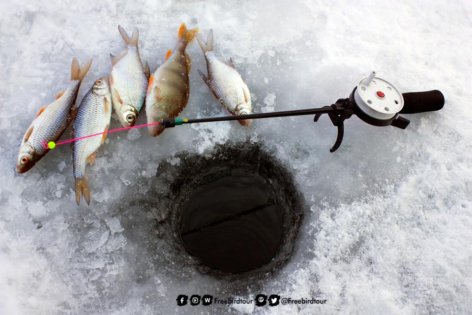 Snow Fishing