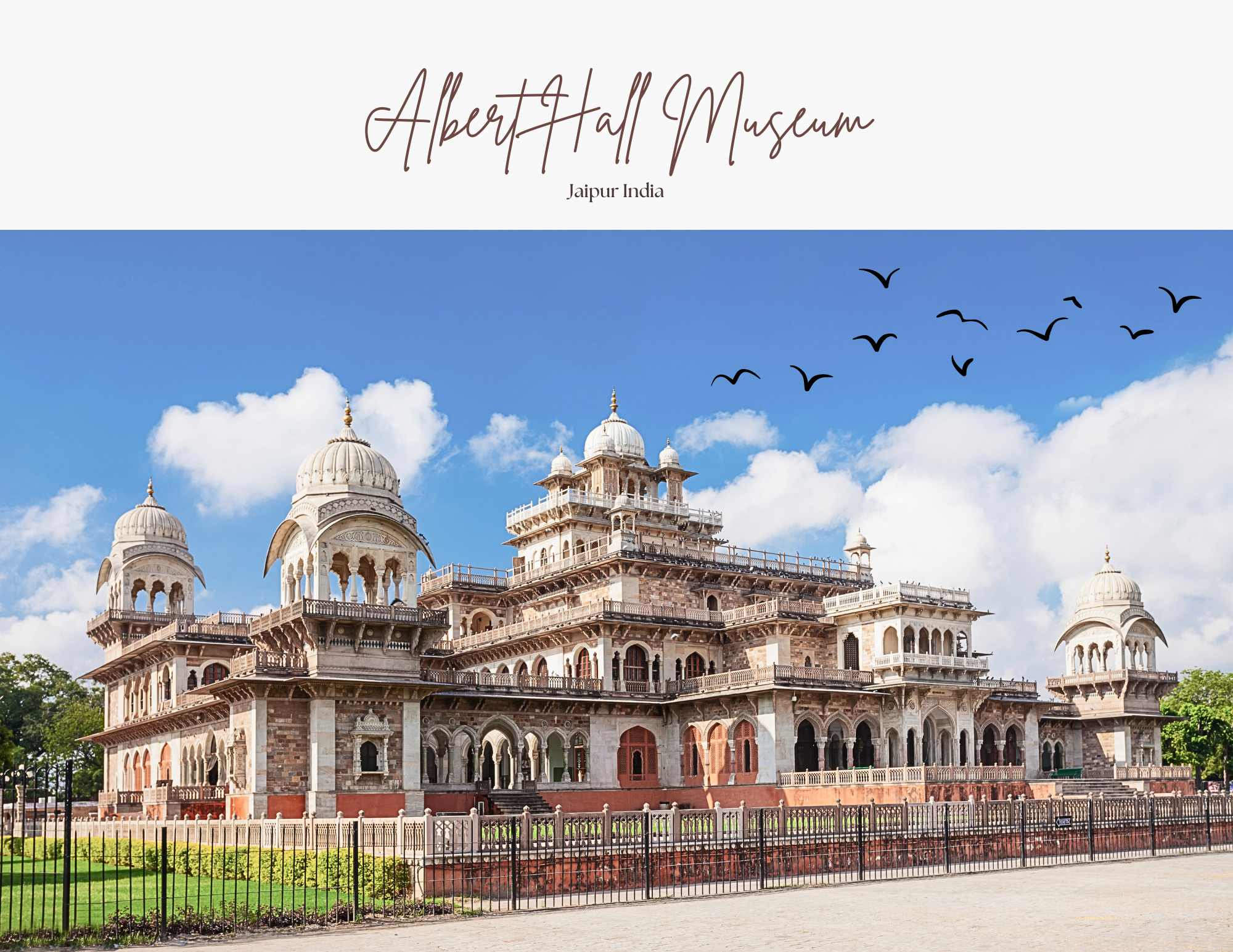 albert-hall-museum-jaipur-india-freebirdtour