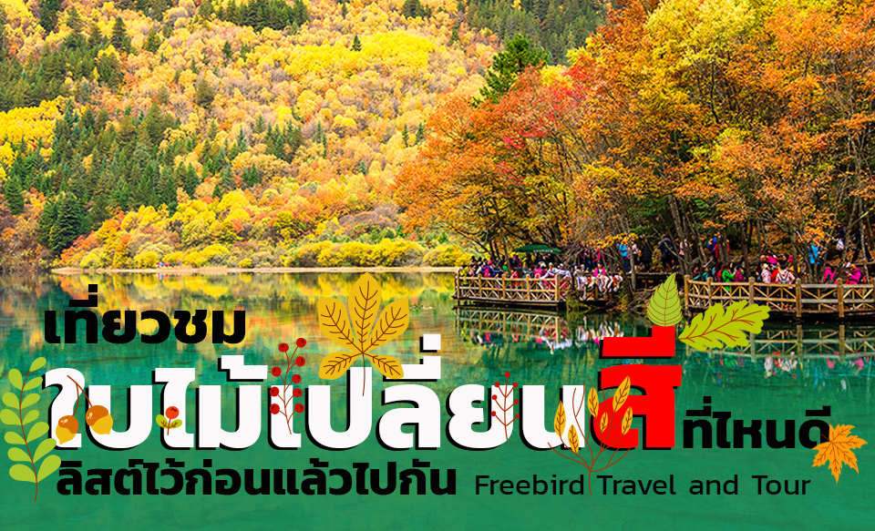 autumn-travel-freebirdtravelandtour-branner