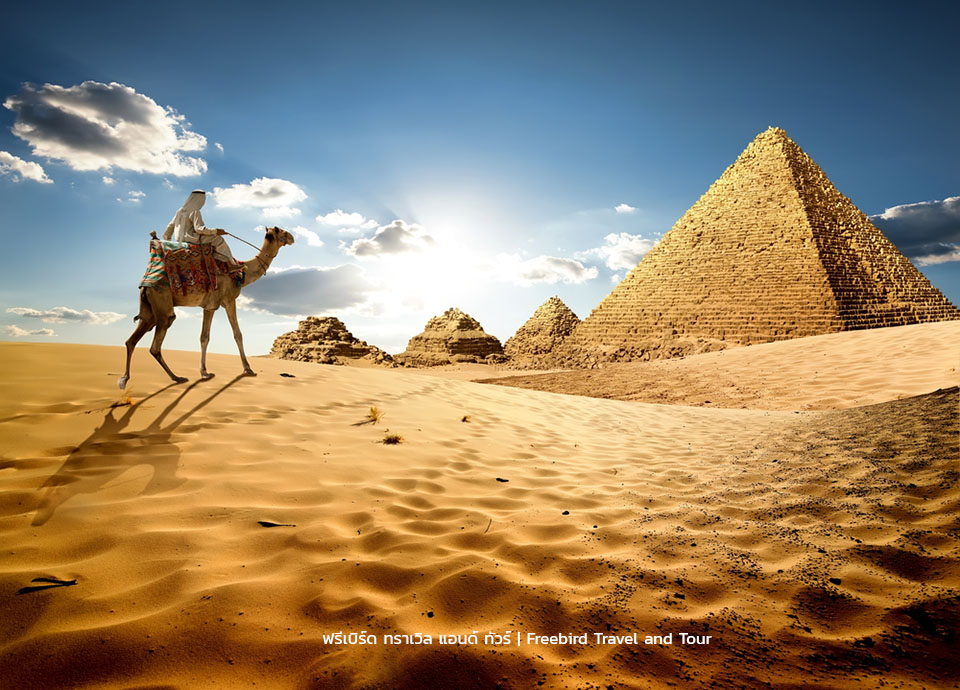 camel-pyramids-desert-freebirdtour