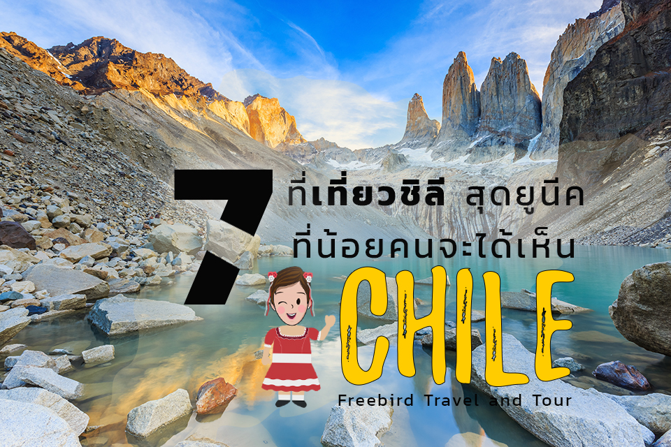 chile_freebirdtour_cover