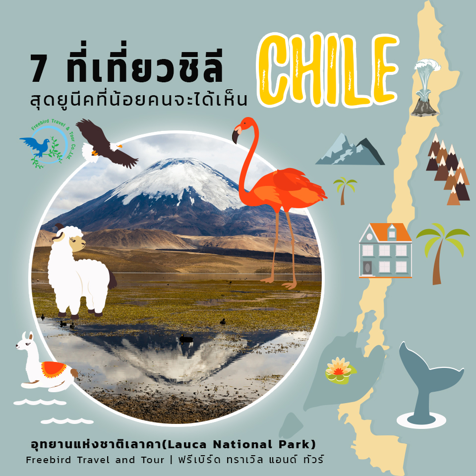 chile_freebirdtour_lauca_national_park