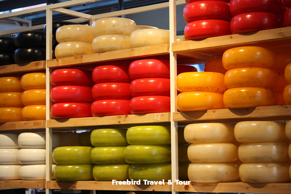 colored_dutch_cheese_amsterdam_netherlands_freebirdtour