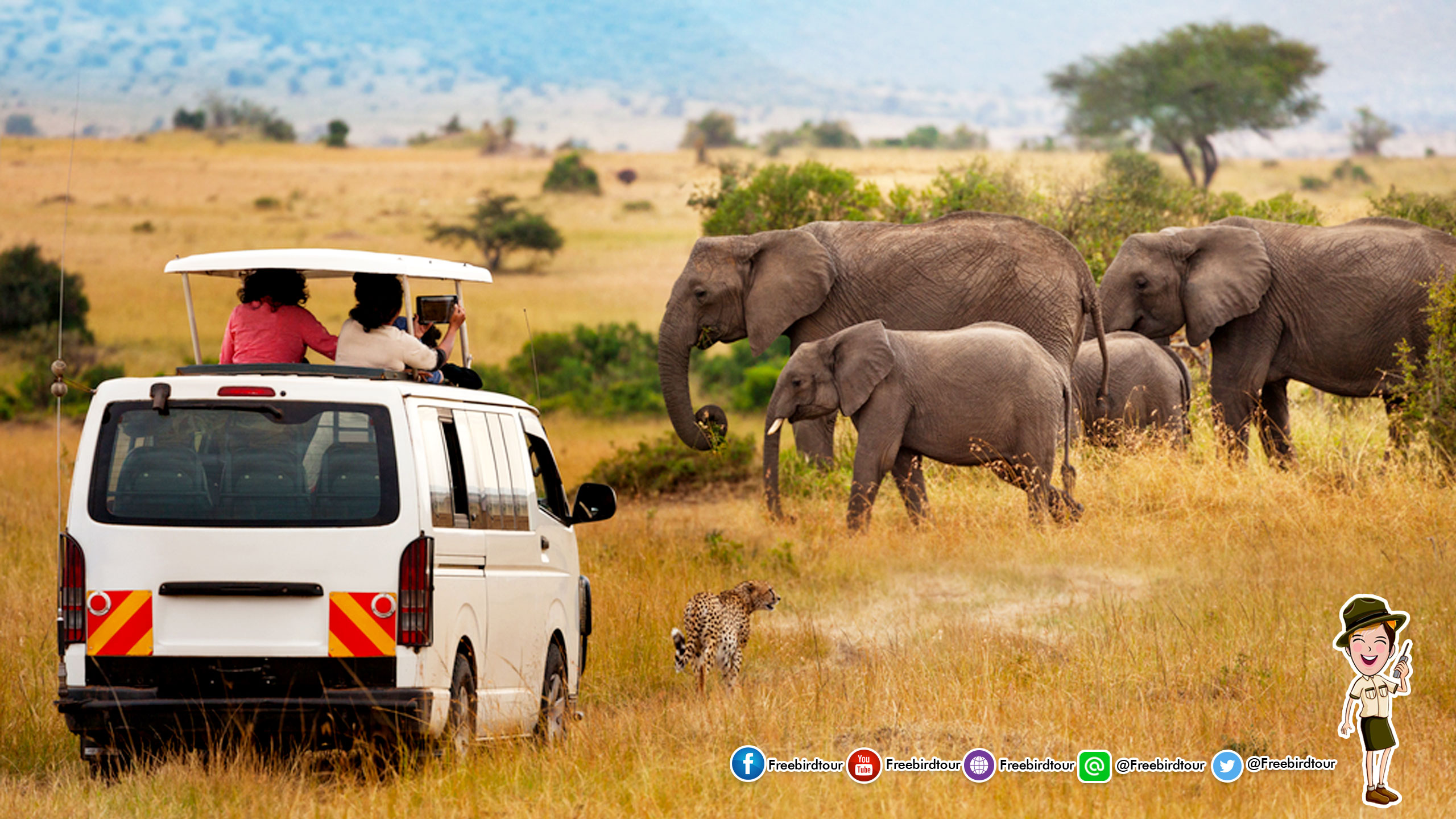 game drive safari แอฟริกาใต้ south africa