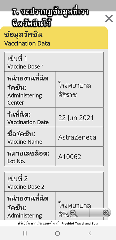howto-international-vaccine-certificate-freebirdtour
