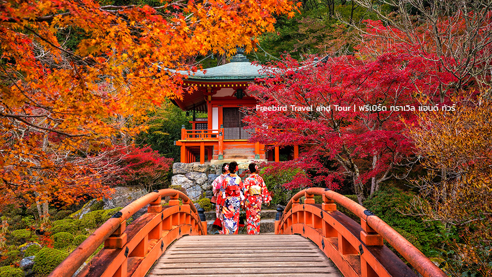 japan-autumn-daigo-ji-temple-freebirdtravelandtour