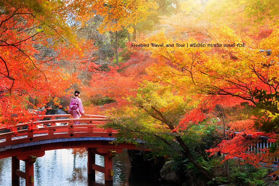 japan-autumn-tokyo-freebirdtravelandtour