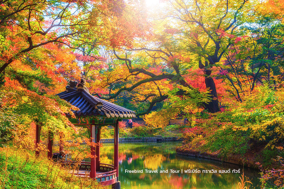 korea-autumn-changdeokgung-palace-freebirdtravelandtour