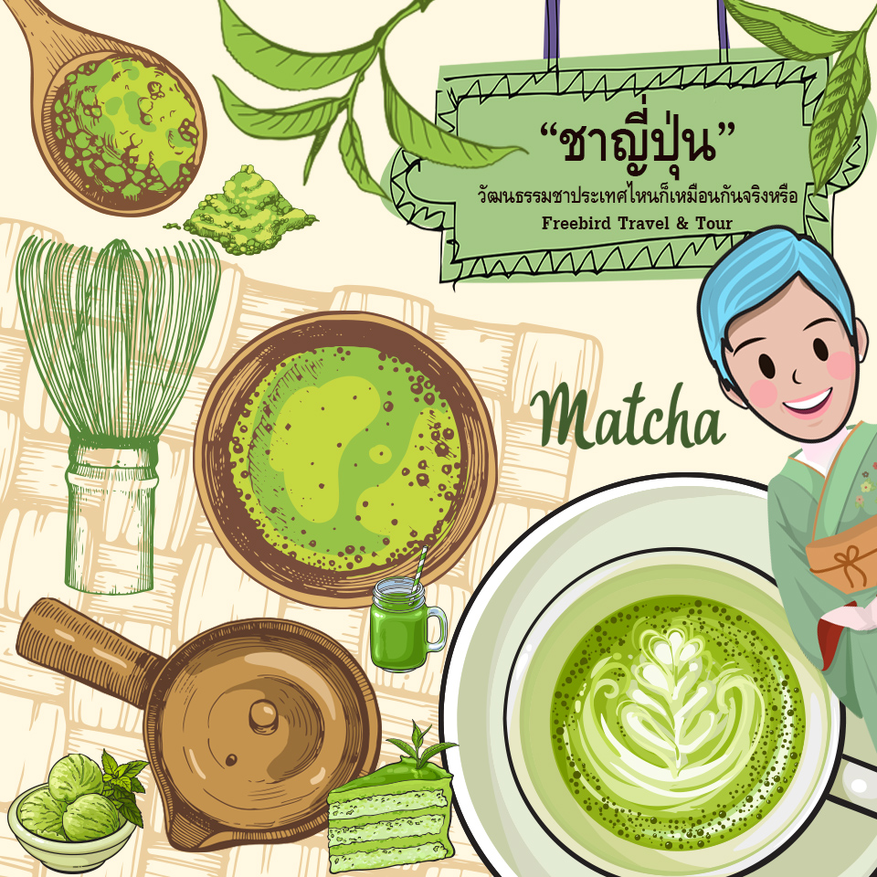 matcha tea freebiedtour