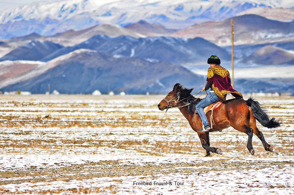 mongolia_horses_freebirdtour