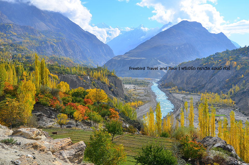 pakistan-autumn-hunza-valley-karakoram-highway-freebirdtravelandtour