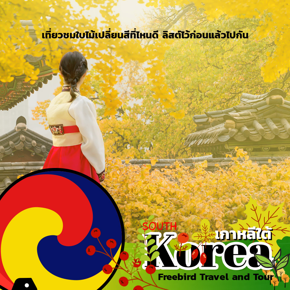 south-korea-autumn-travel-freebirdtravelandtour