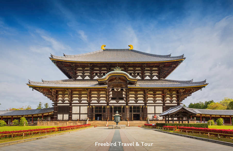 Todaiji Temple & Daibutsu of Nara