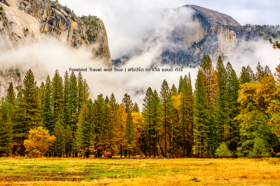 usa-autumn-yosemite-national-park-california-freebirdtravelandtour
