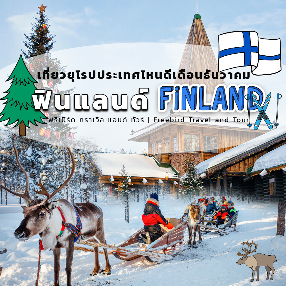 finland europe freebirdtour-winter