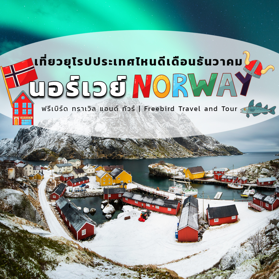 where-to-travel-in-europe-in-december-norway-freebirdtour-winter