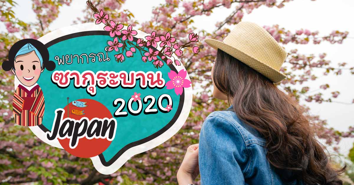 พยากรณ์ซากุระบานที่ญี่ปุ่น ประจำปี 2020 