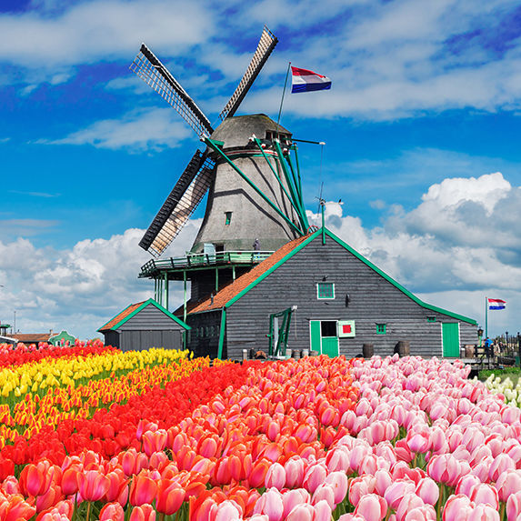 9 เรื่องเล่าดินแดนกังหันลม รู้แล้วอยากเที่ยวเนเธอร์แลนด์ 