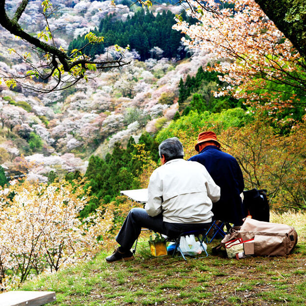 การเที่ยวญี่ปุ่นไม่เพียงเพื่อความสนุกสนานเพลิดเพลินแต่อย่างเดียว ยังส่งผลดีต่อสุขภาพกายใจที่คุณอาจนึกไม่ถึงอีกด้วย ประโยชน์ที่แอบซ่อนอยู่มีดีจนต้องรีบบอกต่อ