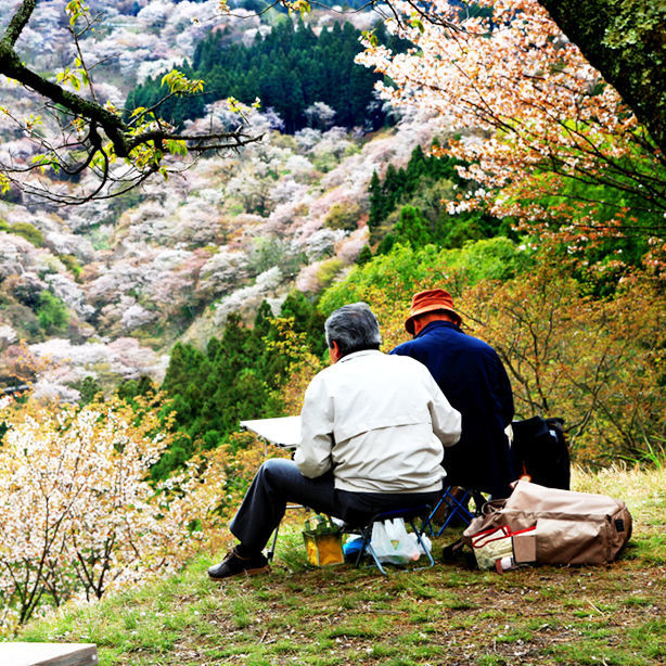 5 ประโยชน์ต่อสุขภาพ ดีจนต้องรีบบอกเมื่อเที่ยวญี่ปุ่น